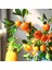 Yapay Portakal Dalı 87cm Yapay Çiçek Limon Ağacı Dalı 3