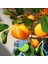 Yapay Portakal Dalı 87cm Yapay Çiçek Limon Ağacı Dalı 4