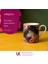 Mkwıldmugzeb Wild At Heart Fine China 280ml Kupa Zebra 4