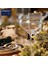 MKSORCOUP4PC Sorrento 4lü 350ML Şampanya Coupe Bardağı 4