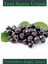 Doğal Köylü Taze Aronya Meyvesi 1kg Aronia - Üreticiden, Doğal, Ilaçsız 1