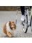 Bisiklet Için Köpek Yürütme Aparatı S - M 12 1