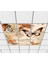 60 x 60 LED Panel Aydınlatma Desenli 3x3 9'lu Grup 46511368SA 2
