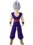 Dragon Ball Limit Breaker Series Gohan Beast 1