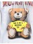 Teddy Desenli Pamuklu Kapşonlu Sweatshirt 2