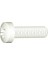 M6x40 Ysb Plastik Vida (25 Adet) 1