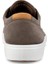 Soft 7 M Dark Clay Lion 3