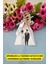 30 Adet Gümüş Ipli Wedding Piramit Kutu - Kına Kutusu - Kına - Mevlid 1
