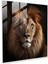 Fotogerçekçi Cam Baskı - Görkemli Aslan'ın Detaylı Portresi - Portre, Portre, Fotogerçekçi Fotoğraf, Görkemli Aslan, 30X30 1