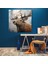 Görkemli Karşılaşma Elk Cam Baskı - Elk, Modern Sanat, Doğa, Yakın Çekim, 30X30 3