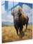 Buffalo Cam Baskı - Görkemli Bufalo - Bufalo Gerçekçi Yağlıboya Tablo, Duvar Dekorasyonu, Cam Duvar Sanatı, Sanat Meraklıları, 30X30 1