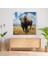 Buffalo Cam Baskı - Görkemli Bufalo - Bufalo Gerçekçi Yağlıboya Tablo, Duvar Dekorasyonu, Cam Duvar Sanatı, Sanat Meraklıları, 30X30 2