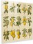 Vintage Limon Ağacı Cam Baskı - Limon Ağacı, Cam Duvar Sanatı, Cam Sanatı, Vintage Baskılar, 30X30 1