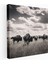 Buffalo Kanvas Tablo - Siyah Beyaz Fotoğraflı Duvar Tablosu - Buffalo, Kanvas Tablo, Nostaljik, Kanvas Tablo, 30X30 1