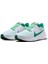 Air Zoom Pegasus 40 Se Erkek Koşu Ayakkabısı 1