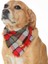 Köpek Bandana / Eomer Medium 1