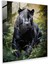 Majestic Woodland Panther Cam Baskı - Kara Panter, Cam Baskı, Woodland, Modern Sanat, 30X30 1