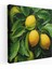 Limon Ağacı Kanvas Tablo - Limon Ağacı, Estetik Çekici, Yakın Çekim, Gerçekçi Yağlıboya Tablo, 30 x 30 cm 1