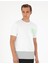 Erkek Açık Gri Regular Fit Tişört 50282045-VR001 1