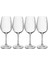 MKTREVWW4PC Treviso 4lü 350ml Beyaz Şarap Kadehi 1