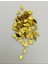 Küçük Düz Yaprak Gold Pleksi Kalın Pul. 20GR 1