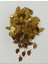 Yaprak. Gold Pleksi Kalın Pul. 20GR 4