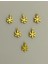 Kartanesi Gold. Pleksi Kalın Pul. 20GR. 2