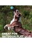Squeaker Ballz Düdüklü Tenis Topu Köpek Oyuncağı 4'lü Small 4