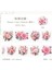 Washi Journal Flowers Tape Sticker Rulo Pet Sticker Tape 2 Metre 2