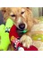 Meksika Temalı Köpek Oyuncağı Peluş Biber Vikvik Sesli Köpek Oyuncakları 2