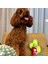 Meksika Temalı Köpek Oyuncağı Peluş Biber Vikvik Sesli Köpek Oyuncakları 5