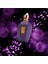 V Purple Accento 100 ml Unısex Parfum 1