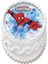 Perfectıon Yazıcı Muadil Pasta Gıda Mürekkebi G2400 4 x 100 ml 4