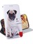 Tecno Camon 20 Boyalı Pu Deri Kart Yuvaları Manyetik Için Flip Case (Yurt Dışından) 5