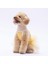 Sarı Polka Dot Kedi Köpek Elbisesi 4