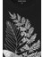 Unisex Siyah Tişört Firefly Last Of Us Kelebek Minimal Çizim Lineart Baskılı T-Shirt 2