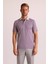 Erkek Gri Çizgili Polo Yaka T-Shirt 1