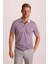 Erkek Gri Çizgili Polo Yaka T-Shirt 2