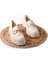 Papuçccity Fncy 02853 Kadın Günlük Loafer Ayakkabı 1