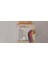 Kinezyo Sporcu Bandı Siyah -Kinezyo Bandı 5MX5CM 4