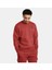 Erkek Ua Icon Fleece Bisiklet Yaka Sweatshirt 1374250-840 1