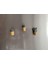 Ev Dekorasyon Buz Dolabı Magnet Succulet 3 Adet 2
