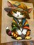 Ütü Ile Yapışan Kedi Transfer Baskı Arma 24X18 cm 1
