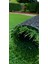 Çim Halı, 20 mm Yeşil 300X800 cm Suni Çim, Yapay Çim Halı 2
