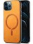 Apple iPhone 12 Pro Max Telefon Kılıfı (Yurt Dışından) 1