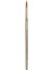 Round Professional Brush # 7 1