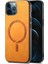 Apple iPhone 12 Pro Max Telefon Kılıfı (Yurt Dışından) 2