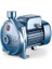 Cp 250B-N Tek Fanlı Santrifüj Pompa 58 Mss 48 M³/h 1