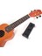 8 Akor Başlangıç Ukulele Yardım Eğitim Araçları Öğrenme Sistemi Küçük Gitar Teli Pratik Aksesuarları (Yurt Dışından) 4
