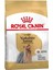 Yetişkin (Adult) Yorkshire Terrier Irkı Kuru Köpek Maması 1,5 kg 1
